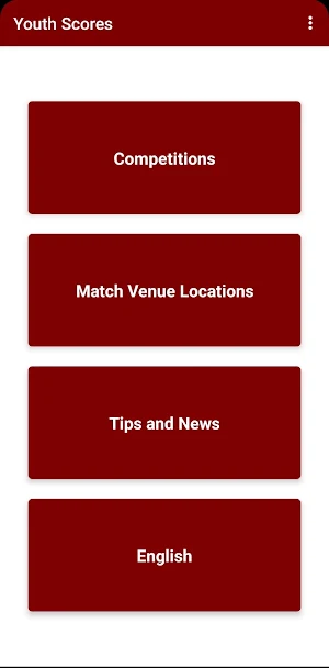 Youth Scores Screenshot 2