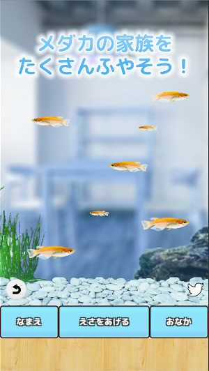 まったりメダカ育成ゲーム Screenshot 2