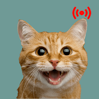 GGCats Call