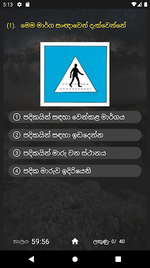 රියදුරු විභාග පිළිතුරු - PRO Screenshot 2