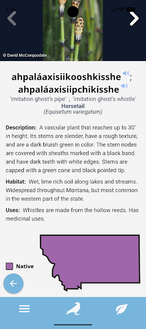 Apsáalooke Birds & Plants Screenshot 3