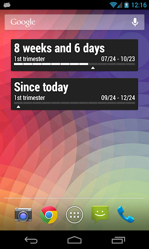 My Pregnancy Widget Screenshot 2