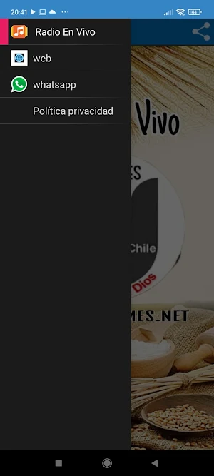 Radio Unánimes Llanquihue Screenshot 1