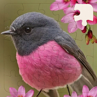 Rompecabezas de Pajaros