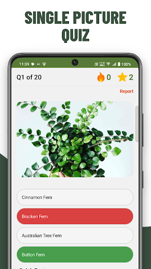 Plants Quiz Guess Trees Screenshot 3