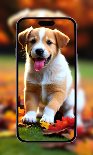 Cute Puppy Wallpaper for Dogs Screenshot 2