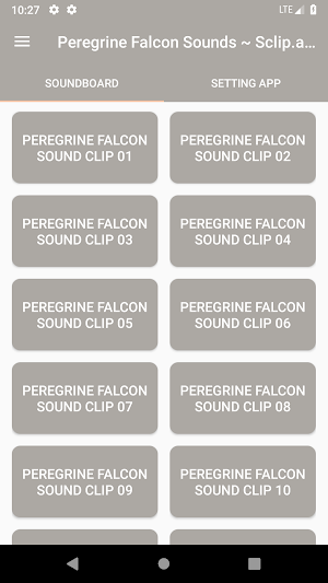 Peregrine Falcon Sound Collections ~ Sclip.app Screenshot 0