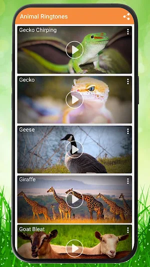 Animals Ringtones Screenshot 0