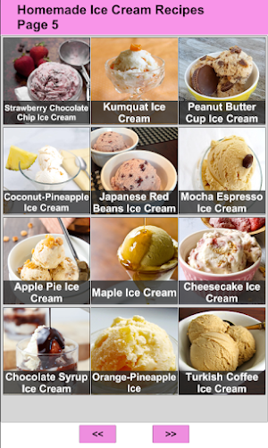 Homemade Ice Cream Recipes Screenshot 2