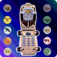 DX Ranger Wild Morpher Force