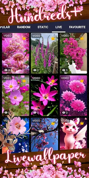 pink flower wallpaper Screenshot 2
