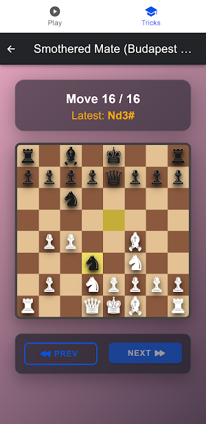 Chess Tricks Screenshot 1
