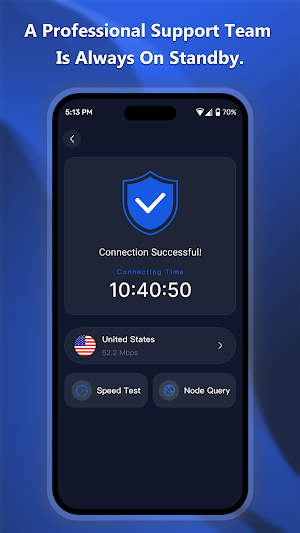 Blue Fox Link Screenshot 2