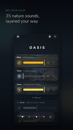 Oasis: Nature Sound Mixer Screenshot 0