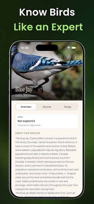 Bird Sound Identifier : BirdID Screenshot 3