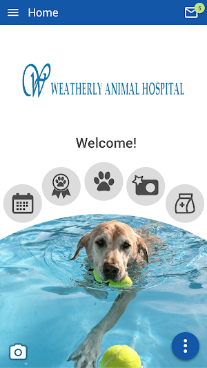 Weatherly Animal Hospital Screenshot 0