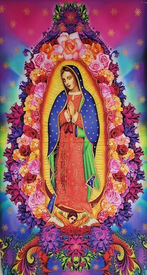 Virgen de Guadalupe Screenshot 0