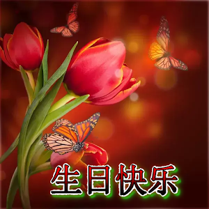 生日快乐 Screenshot 0
