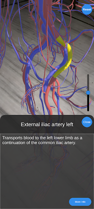 AR Anatomy Screenshot 2
