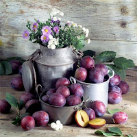 Plums Benefits