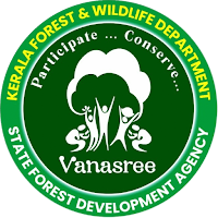Vanasree