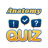 Anatomy Quiz Offline App