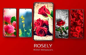 Rosely- Rose Flower wallpapers, Floral Backgrounds Screenshot 0