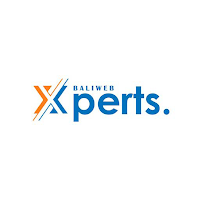 Baliwebexperts