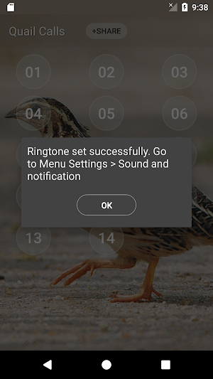 Quail Bird (Animal) Sounds Screenshot 3