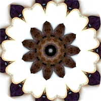 Intuitive Mandala Oracle Cards