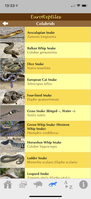 EuroReptiles Screenshot 2