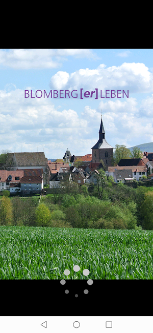 BLOMBERG erleben Screenshot 0