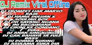 Dj Remix Offline Full Bass Screenshot 0
