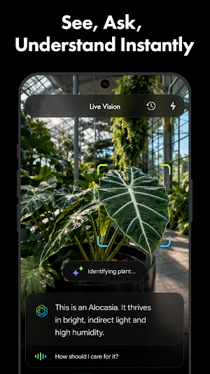 GenZ AI Chatbot Assistant Screenshot 2