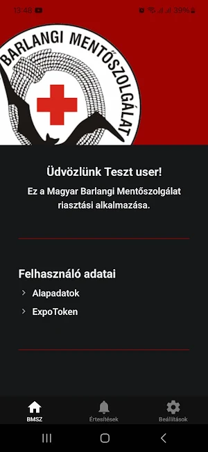 BMSZ Screenshot 2