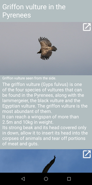 Nature Media Contents Screenshot 2