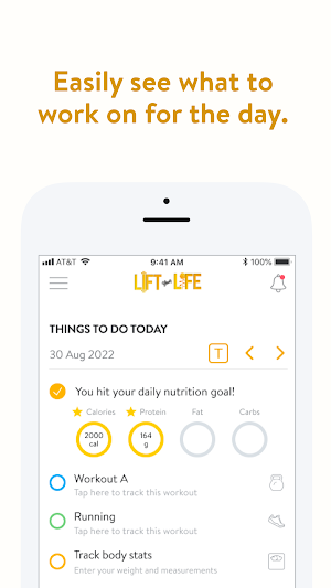 Lift Your Life Screenshot 3