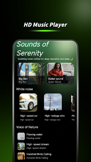 Offline Music Player Screenshot 1