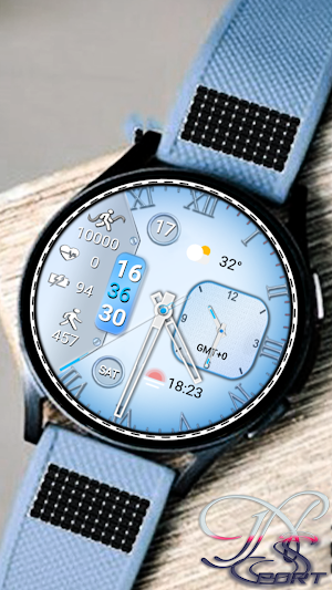 [N-SPORT299] Coral Watch Face Screenshot 1