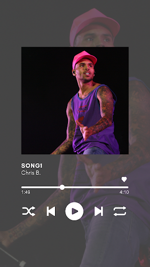 Music Chris Brown Songs Mp3 Screenshot 0