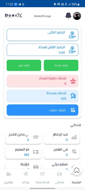 Domex Express Screenshot 2