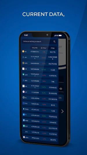 Crypto Portfolio Tracker - Current Data Screenshot 2