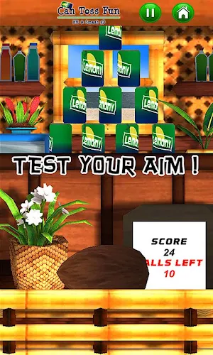 Can Toss Fun - Hit & Smash 3D Screenshot 2