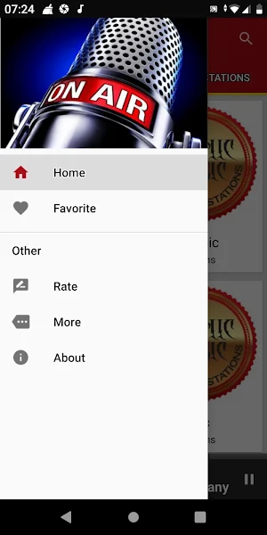 Gothic Music Radio Stations Screenshot 2