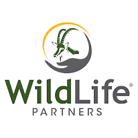 WLP Spring and Fall Auctions