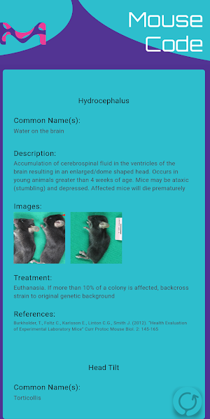 Mouse Code Screenshot 2