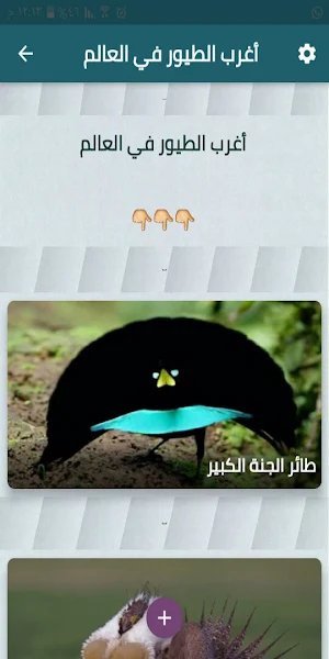 أغرب الطيور في العالم Screenshot 1