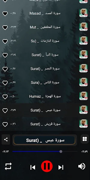 جزء عم ماهر المعيقلي | بدون نت Screenshot 3