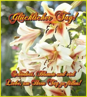 Glücklicher Tag! Screenshot 2
