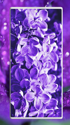 Flower Wallpapers Screenshot 3